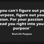 'If you can't figure out your purpose, figure out your passion. For your passion will lead you right into your purpose